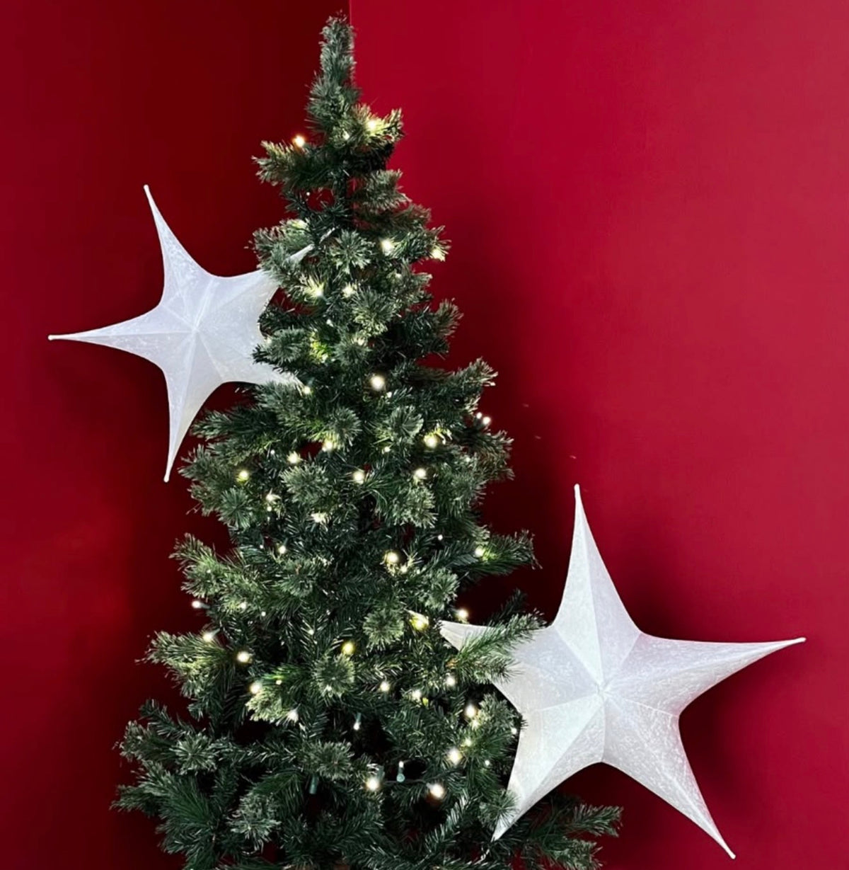 ESTRELLA (Variedad de colores)