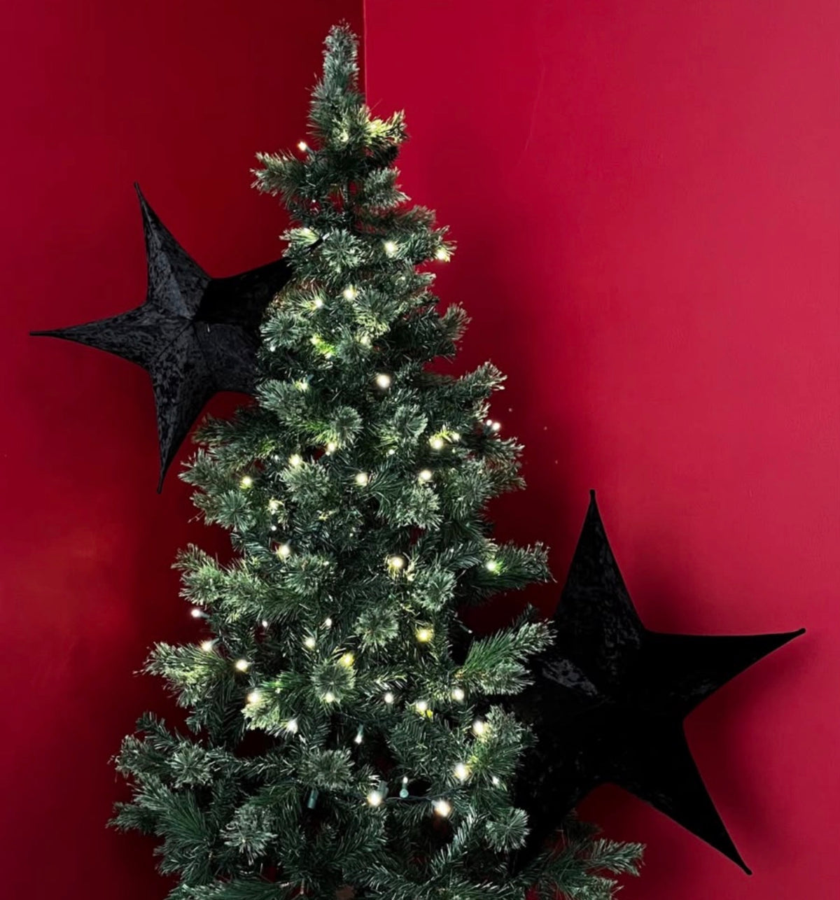 ESTRELLA (Variedad de colores)