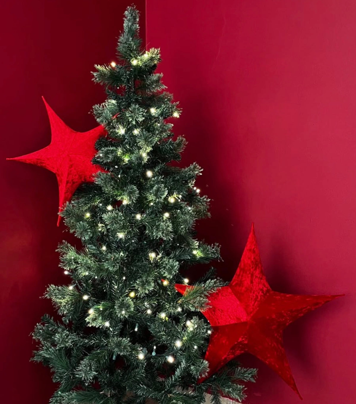 ESTRELLA (Variedad de colores)