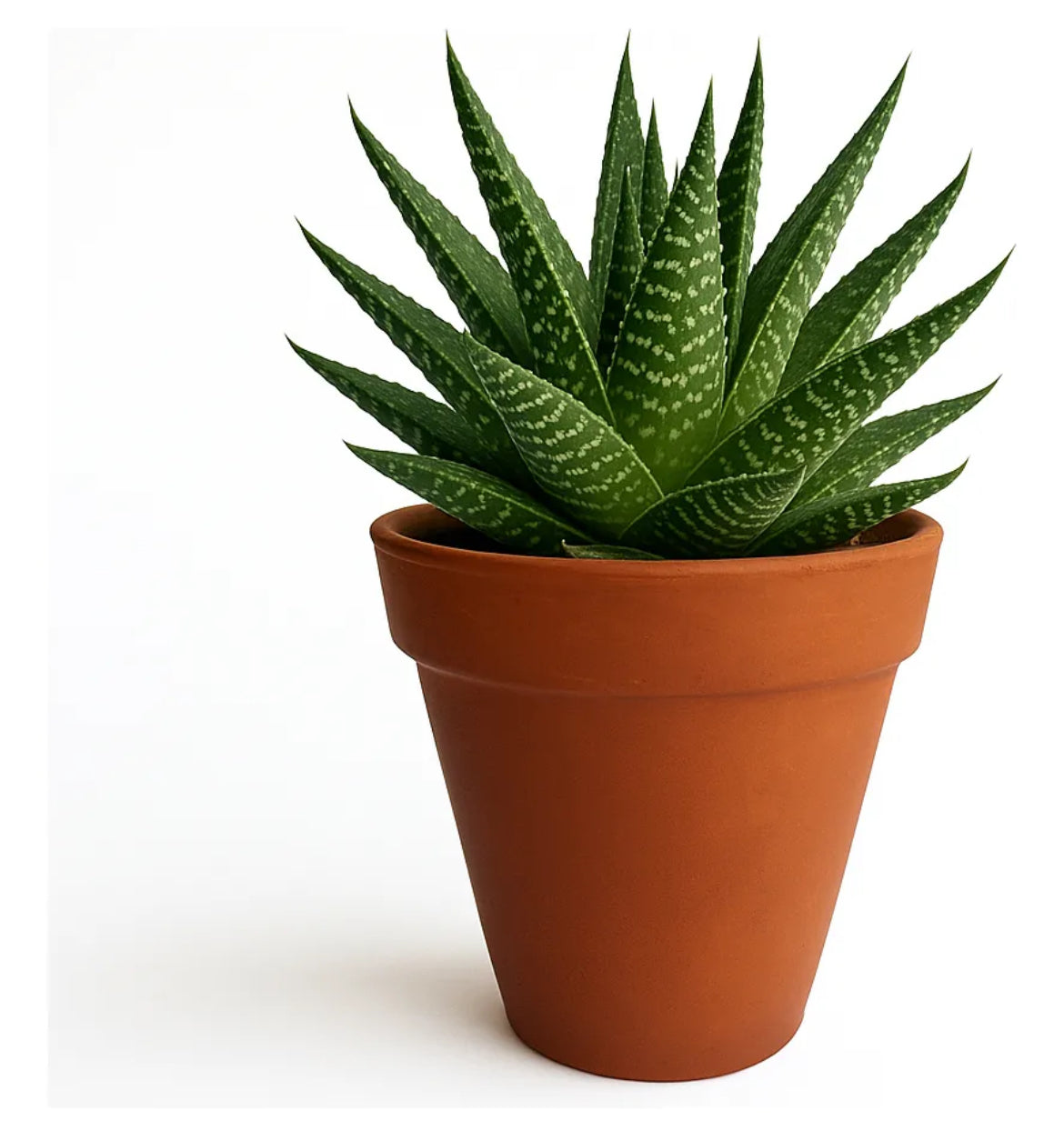 MACETA DE BARRO 14 CM