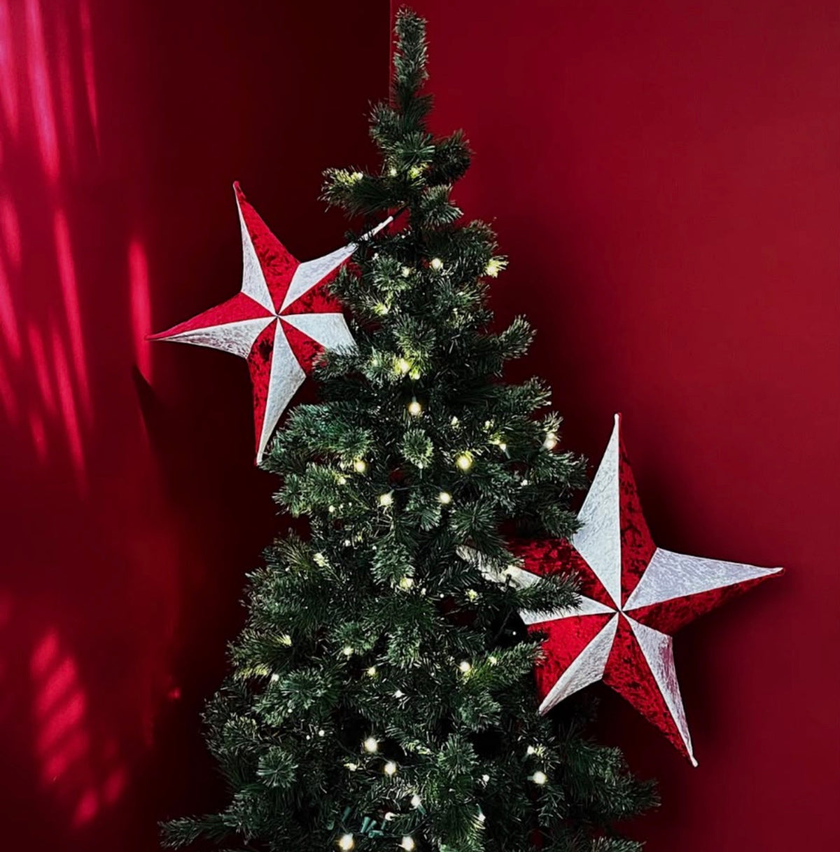 ESTRELLA (Variedad de colores)