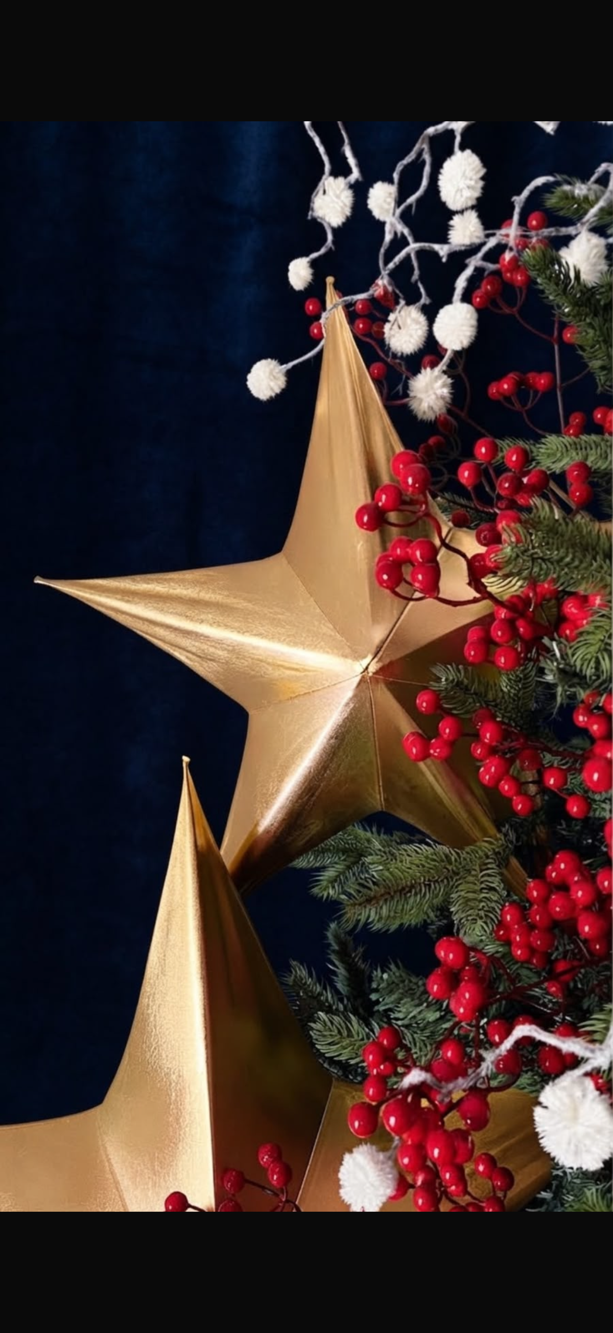 ESTRELLA (Variedad de colores)